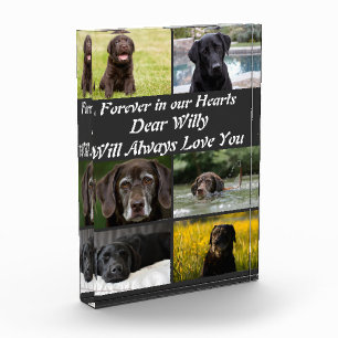 Custom modern Pet Memorial 6 Photo Collage   Block