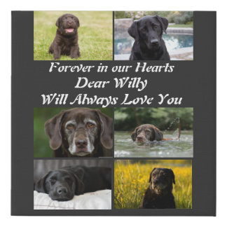 Custom modern Pet Memorial 6 Photo Collage   Faux Canvas Print