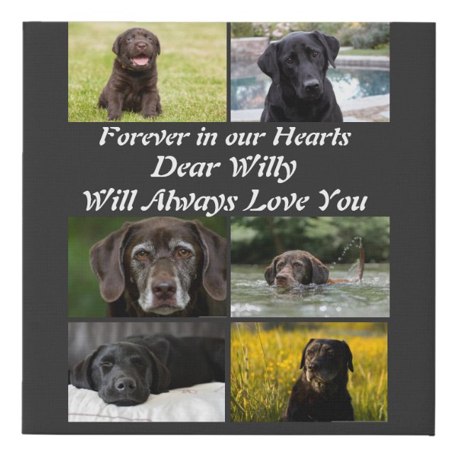 Custom modern Pet Memorial 6 Photo Collage   Faux Canvas Print (Front)