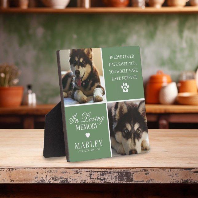 Custom Modern Pet Memorial Photo Plaque (Creator Uploaded)