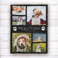 Custom Modern Pet Name Photo Collage Dog Cat Lover