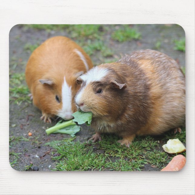 Custom Modern Pet Picture Mouse Pad (Front)