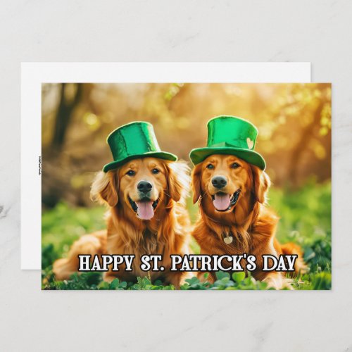 Custom Modern Template St Paddys For Pets