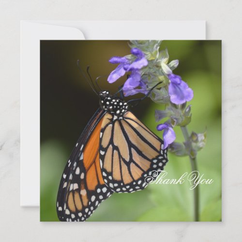 Custom Monarch Butterfly on Flower Thank You Card