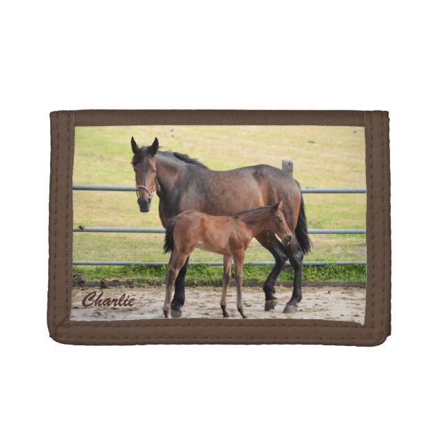 Custom monogram horse wallet (Front)