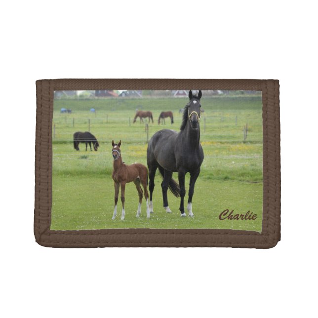 Custom monogram horse wallet (Front)