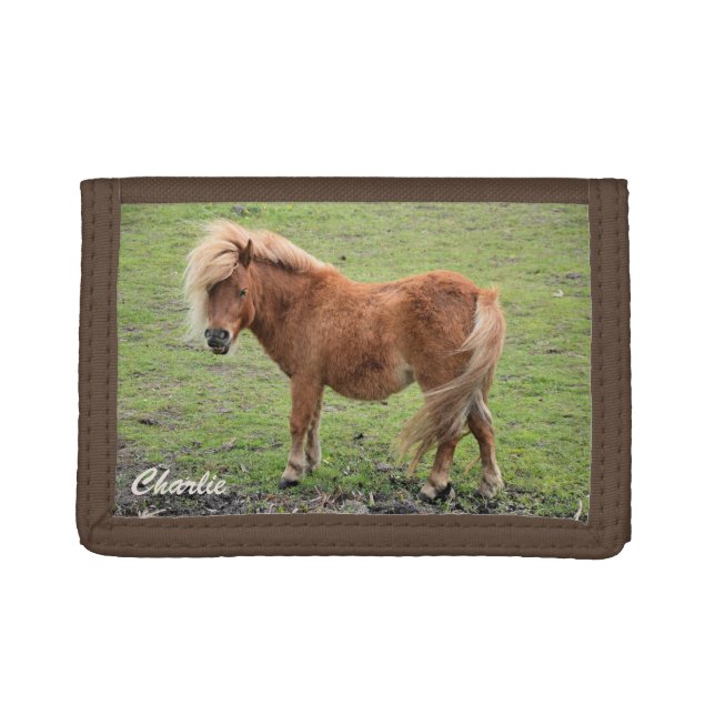 Custom monogram pony wallet (Front)
