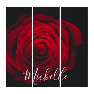 Custom monogram red rose vintage photograph triptych