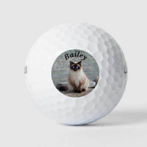 Custom Monogrammed Pet or Family Photo Golf Balls