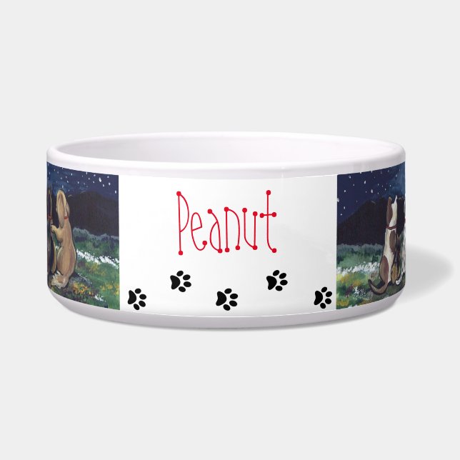 Custom "Moon Dogs" Designer Artwork Fun Dog Bowl (Front)