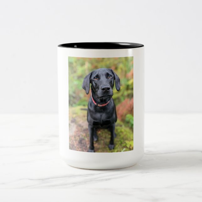 Custom Mug- Last minute gifts under $20 Two-Tone Coffee Mug (Center)