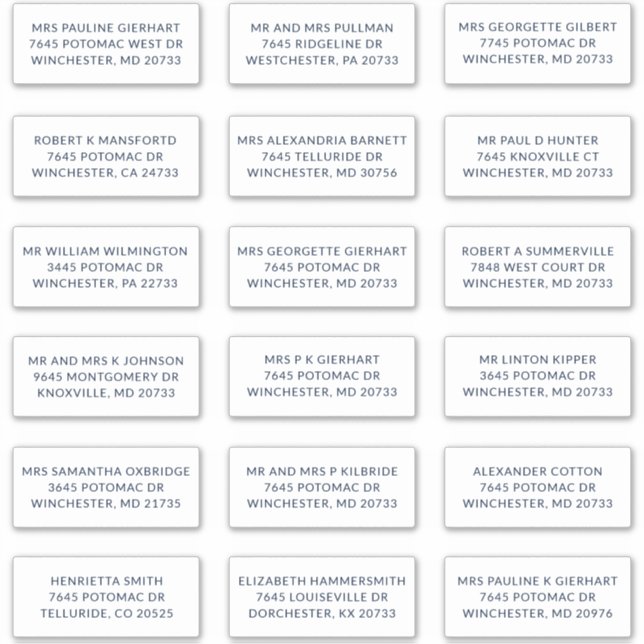 Custom Name 18 Shipping Large Address Labels (Front)