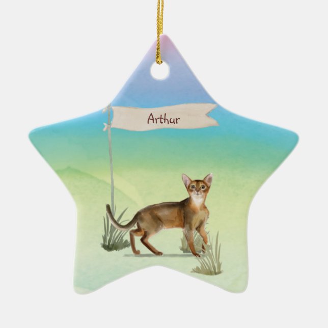Custom Name Abyssinian Cat Pet Ceramic Ornament (Front)