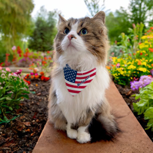 Custom Name American Flag Pet Bandana Collar