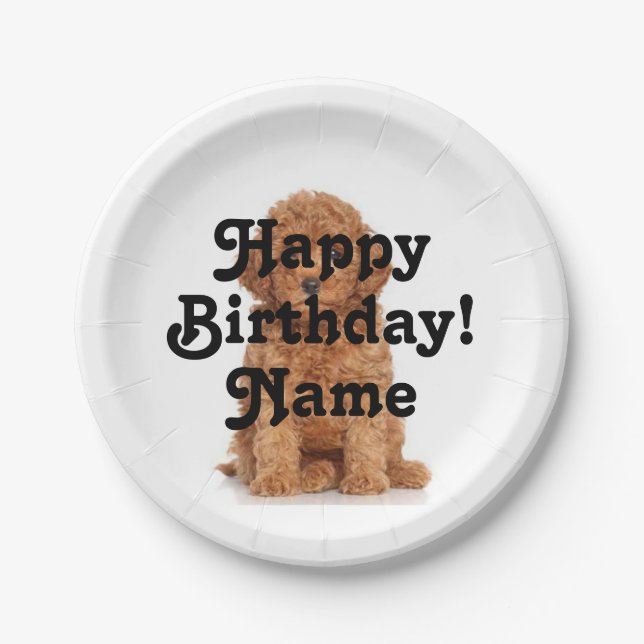 Custom name and photo Birthday Paper Plates (Front)