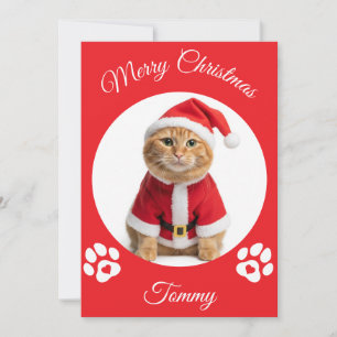 Custom Name and Photo For Cats Christmas Holiday Card
