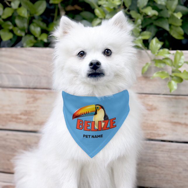 Custom Name BELIZE Toucan Pet Bandana Collar (Dog)