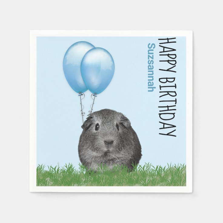 Custom Name Birthday Guinea Pig Blue Balloons Napkins Zazzle