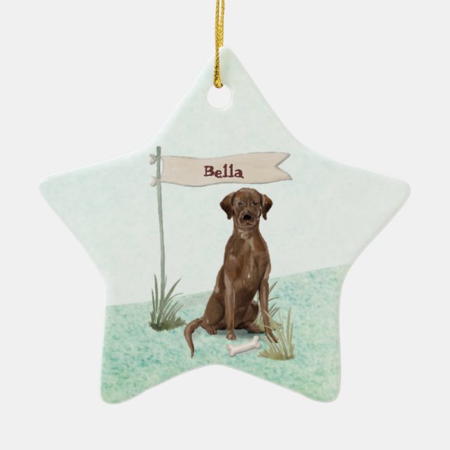 Custom Name Chocolate Lab Pet Dog Ceramic Ornament (Front)