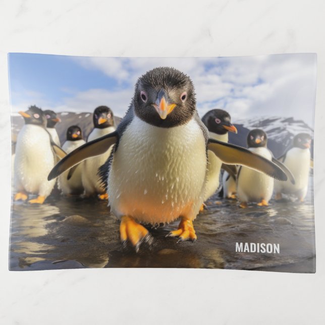 Custom Name Cool Penguins Trinket Tray (Front)