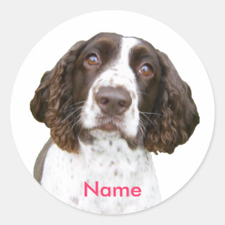 Custom Name English Springer Spaniel Stickers