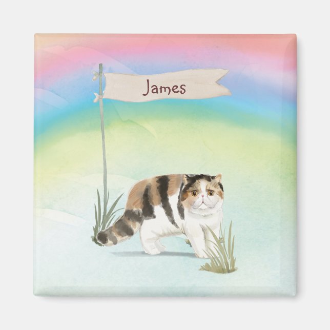 Custom Name Exotic Short Hair Cat Pet Magnet (Front)