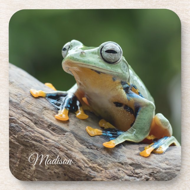 Custom name Frog coaster set (Front)