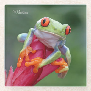 Custom name Frog Glass Coaster
