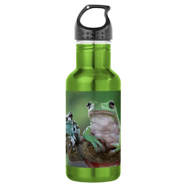 Custom Name Frog Stainless Steel Water Bottle (Front)