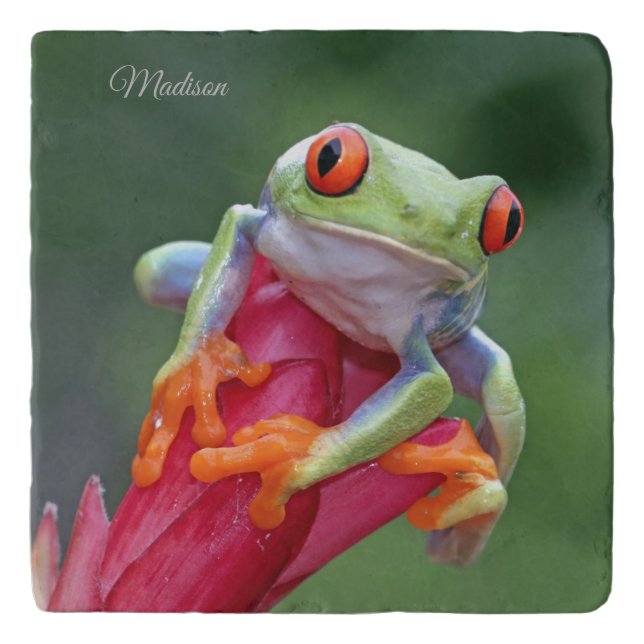 Custom name Frog trivet (Front)