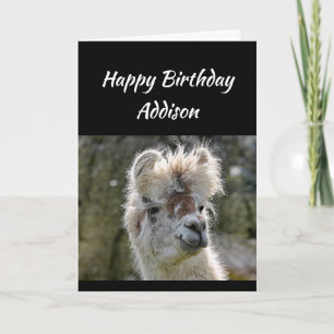 Custom Name Fun Birthday Bad Hair Llama Animal Card