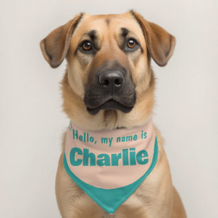Custom Name Hello My Name Is Pastel Dog Bandana Pet Bandana Collar