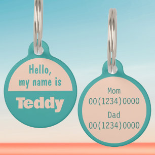 Custom Name Hello My Name Is Summer Teal Pet ID Tag