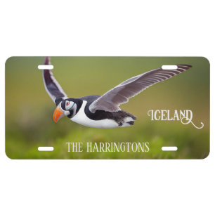 Custom Name Iceland Puffin License Plate