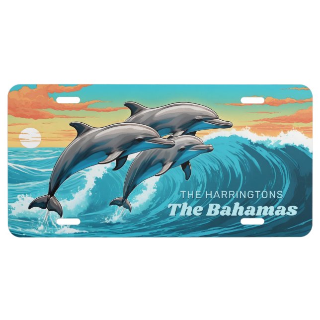 Custom Name & Location Dolphin License Plate (Front)