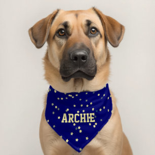 Custom Name On Gold Stars Pet Bandana Collar