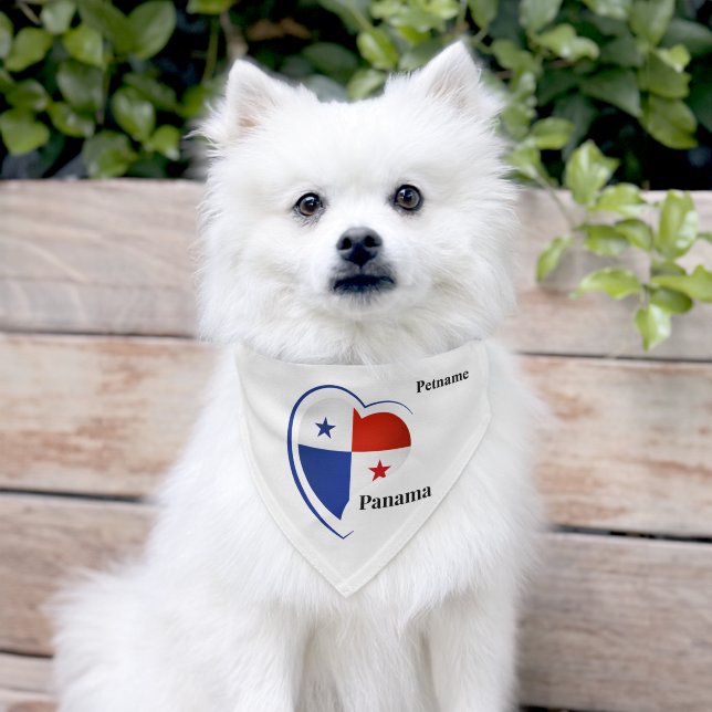 Custom Name Panama Love Pet Bandana Collar (Dog)