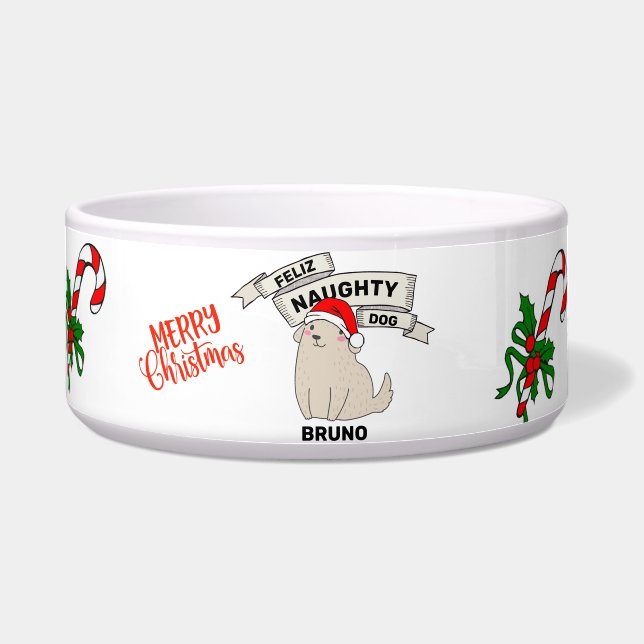 Custom Name Personalized christmas Pet Food Bowl (Front)