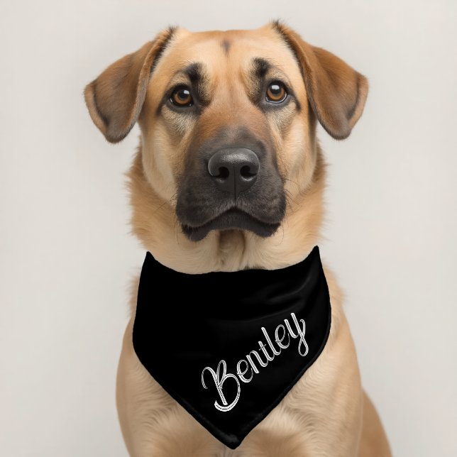 Custom Name Personalized Pet Bandana Collar (Dog 2)