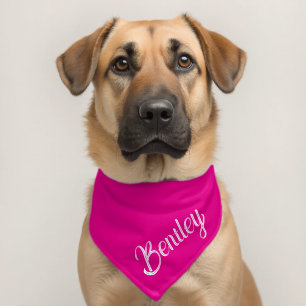 Custom Name Personalized Pet Bandana Collar