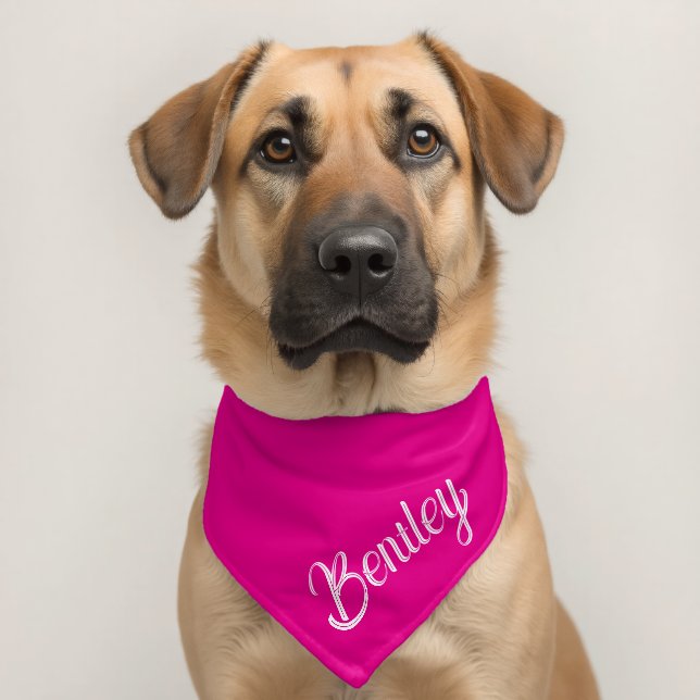 Custom Name Personalized Pet Bandana Collar (Dog 2)