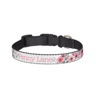 Custom Name Pet Collar