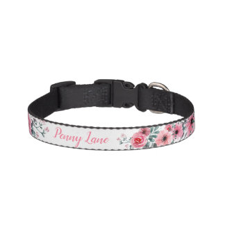 Custom Name Pet Collar