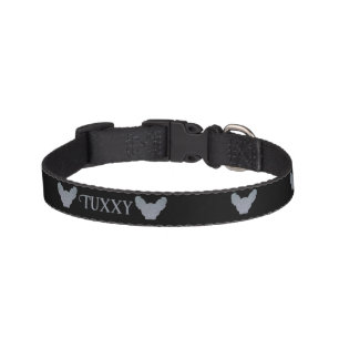 Custom Name Photo Silver Glitter Elf Sphynx Cat Pet Collar