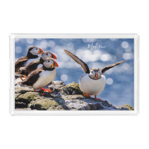Custom name Puffin trays