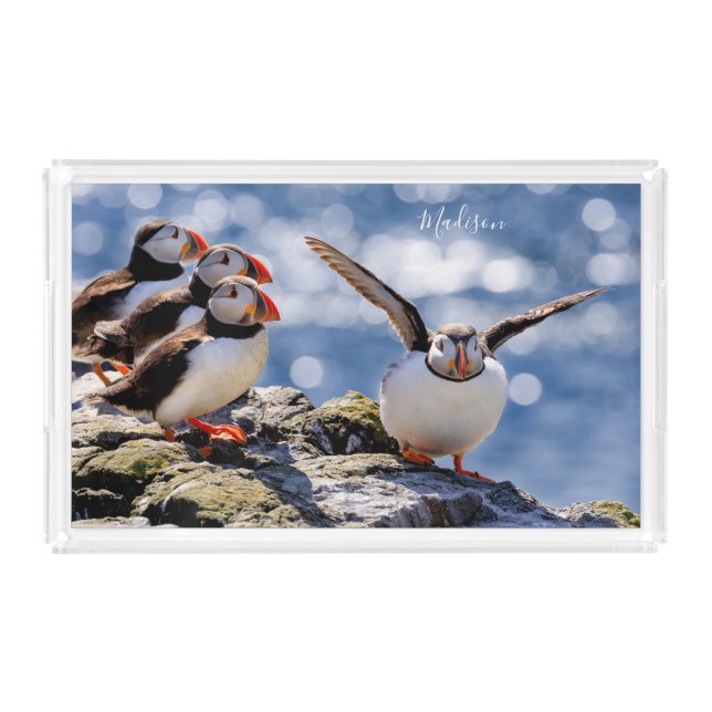 Custom name Puffin trays (Front)