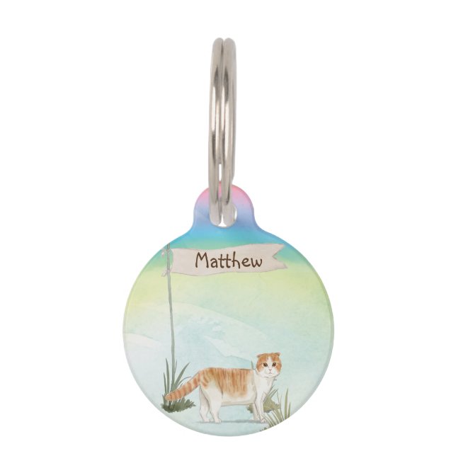Custom Name Scottish Fold Cat Pet ID Tag (Front)