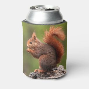 Custom Name Squirrel Can Cooler