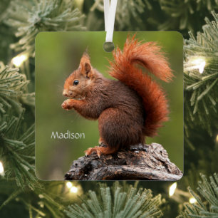 Custom Name Squirrel Metal Ornament