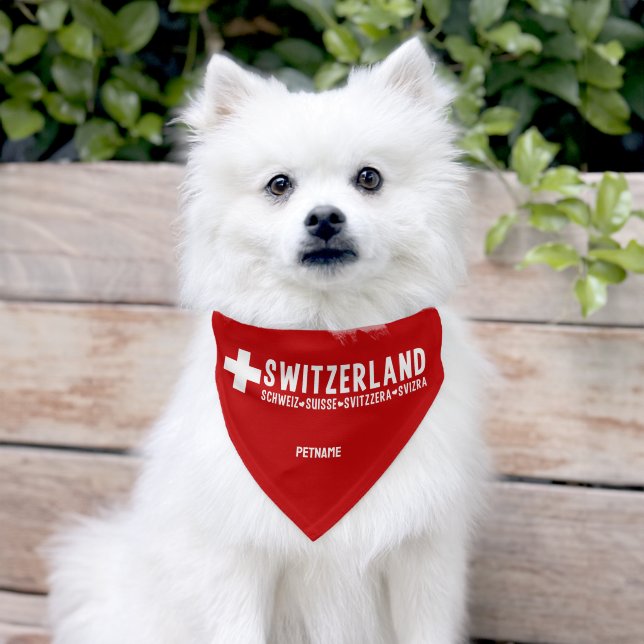 Custom Name SWITZERLAND Pet Bandana Collar (Dog)